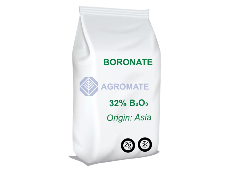 Boronate<br />
(32% B<sub>2</sub>O<sub>3</sub>)