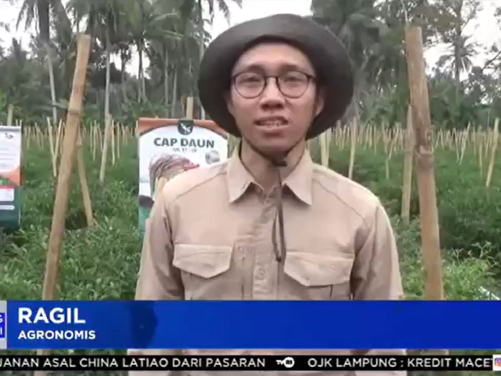 Successful Horticulture Farmer Gathering Highlights Benefits of SNP Fertilizer in Lampung Timur